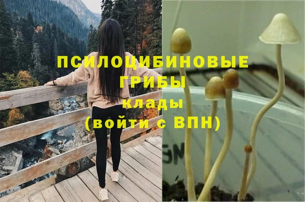 прущая мука Абинск